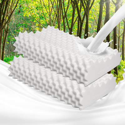  2x Natural Latex Memory Down Pillow Removable Cover