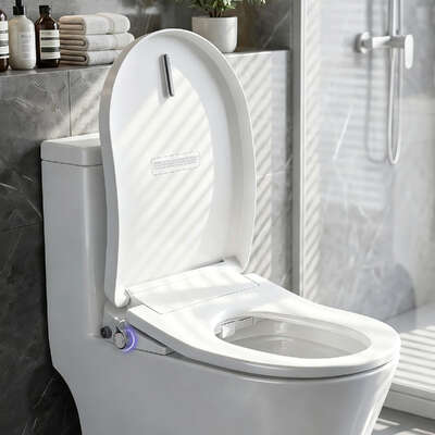 Electric Bidet Toilet Seat Heated D-Shape Air Dryer | EXTG