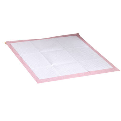 100 Pcs 60x60 cm Pet Puppy Toilet Training Pads Absorbent Lavender Scent