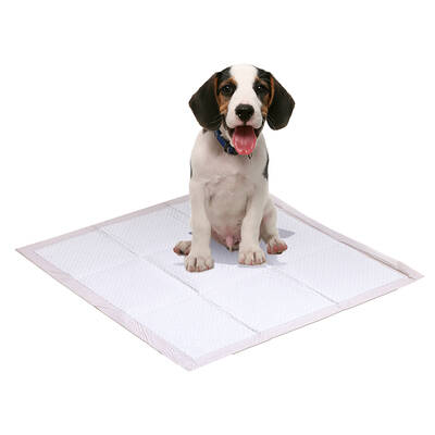 100 Pcs 60x60 cm Pet Puppy Dog Toilet Training Pads Absorbent Meadow Scent
