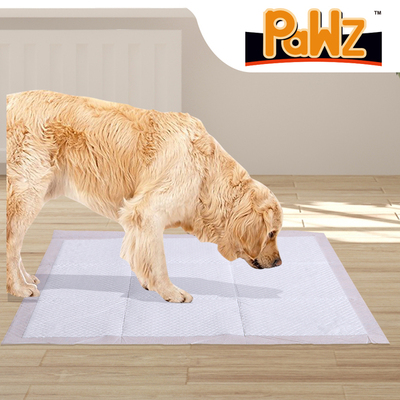 400 Pcs 60x60 cm Pet Puppy Dog Toilet Training Pads Absorbent Beige