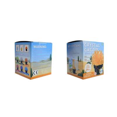 Crystal cactus mini kit set of 6
