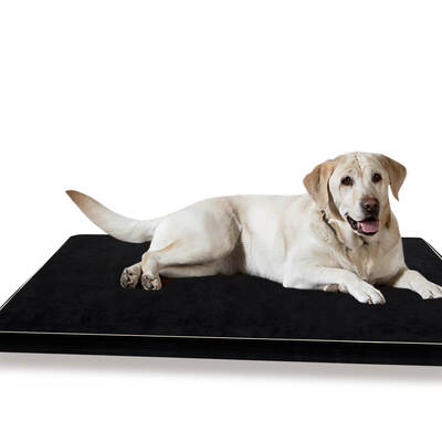 Pet Bed Cushion Cover Mat Soft Calming Pillow 5cm