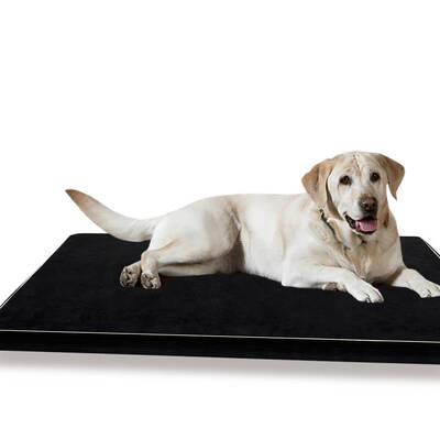 5CM Memory Foam Orthopaedic Pet Bed XL