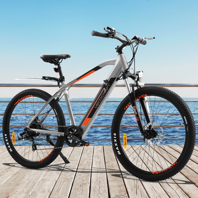Mountain Bicycle eMTB Grey