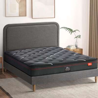 Bed Frame Queen Size Beds Platform with Mattress Grey Fabric