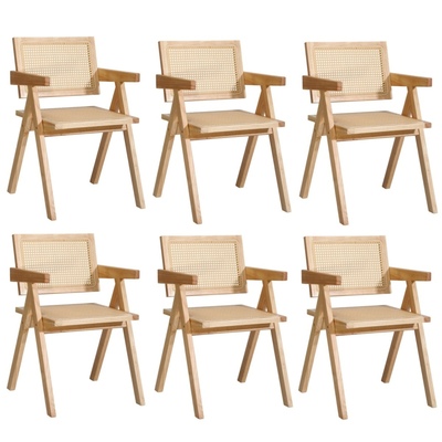 6x Dining Chairs Rattan Chair Wooden Accent Chair Natural