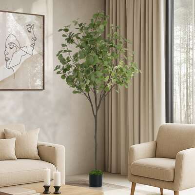 180cm Eucalyptus Tree Potted  Plant