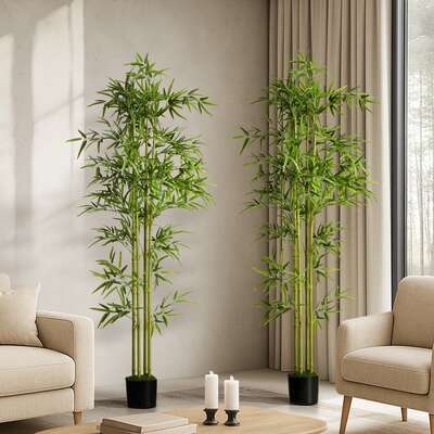 2x Bamboo Tree 150cm Potted  Plants
