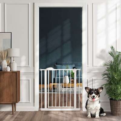 Retractable Pet Safety Gate 78cm Dog Cat | EXTG
