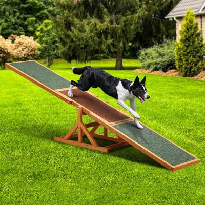 Mastering Pet Agility: Unleash Your Dog's Skills with the 180cm Dog Seesaw