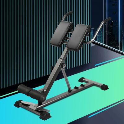 Weight Bench Back Hyperextension Roman Chair Fitness Home Gym Equipments