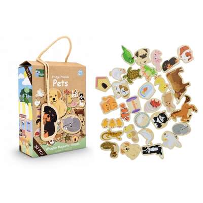 Magnetic Pet Set Educational 12.5x5.5x16.5cm