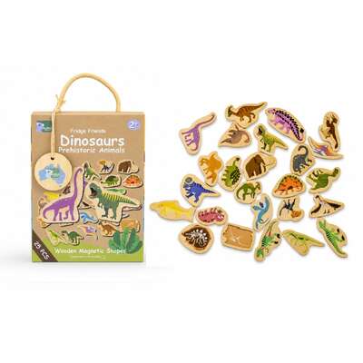 Dinosaur Magnets Educational Set 13x5.5x17cm
