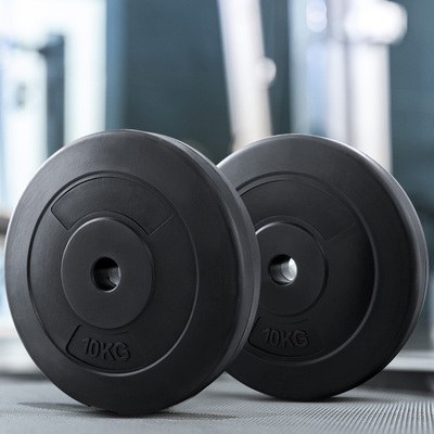 10Kg Barbell Weight Plates Standard Home Gym Press Fitness Exercise 2Pcs