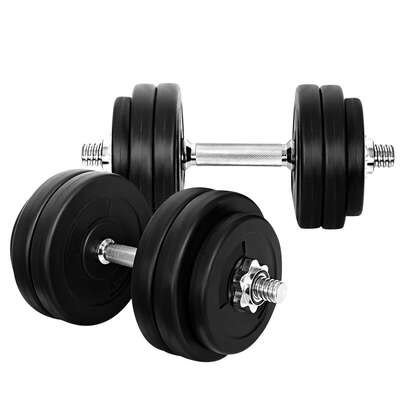 Dumbbell Set 30kg Weight Plates With Lifting Bench