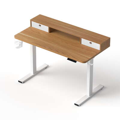Electric Standing Desk Height Adjustable Sit Stand Desk Home Office