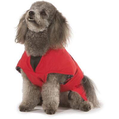 Red Dog Coat Size 35cm
