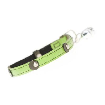 Moet Cat Collar Color Lime 