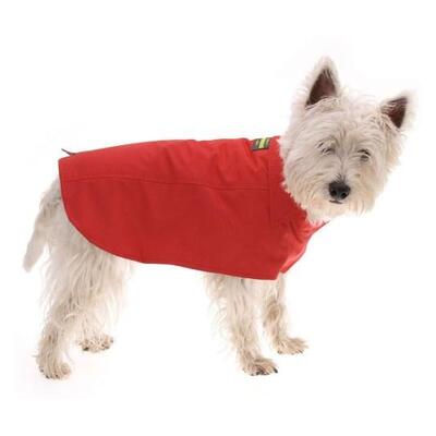 Burnt Red Dog Coat Size 50cm 