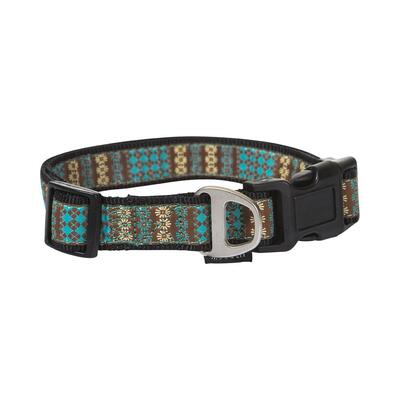 Aqua Swimmable Dog Collar -M 