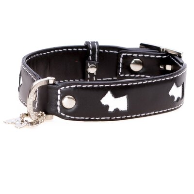Black Dog Collar Size Small 