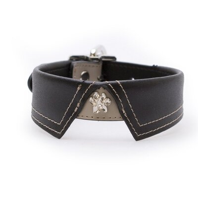 Black Dog Collar Size Medium 