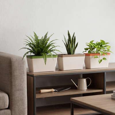 Toque Self Watering Plant Pots 3 Pcs Indoor Planter Box Vegetable Flower Garden