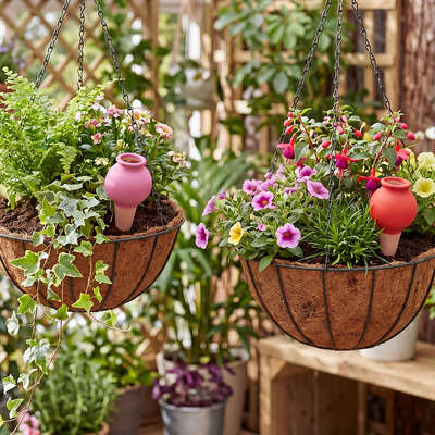 Self Watering Terracotta Spikes 8 Pack | EXTG