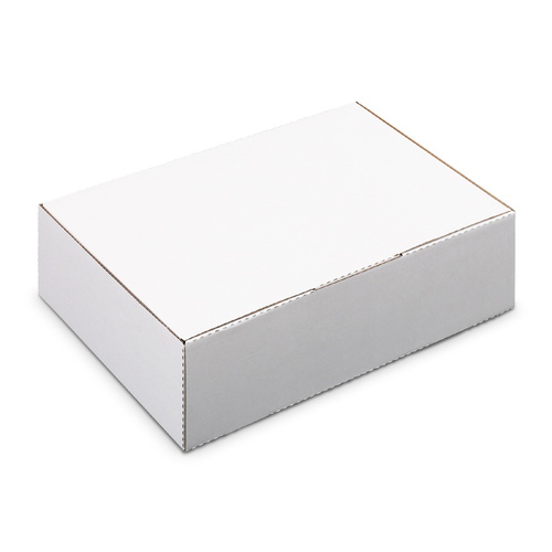 50x Mailing Box Diecut Mailer Cardboard A4 310x220x102mm