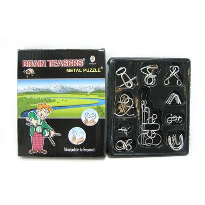 METAL IQ PUZZLE 10 PER SET BOX