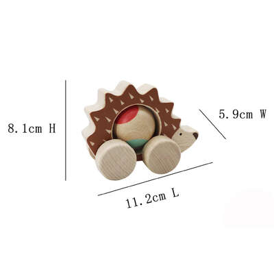Eco play push a long spinning hedgehog