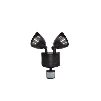 22 LED Solar Powered Dual Light Security PIR Motion Sensor
