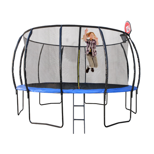 10ft/305cm Trampoline with Ladder and Basketball Hoop