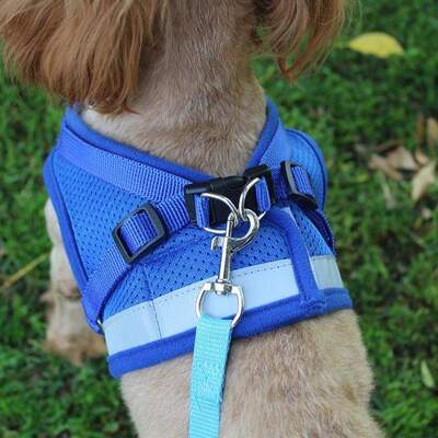 Dog cat Harness Vest XS- Blue