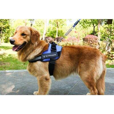 Dog Harness Vest Chest Walk Out M BLUE 