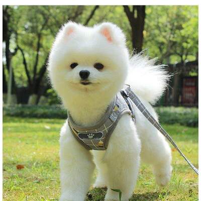 Puppy Chest Strap M PINK