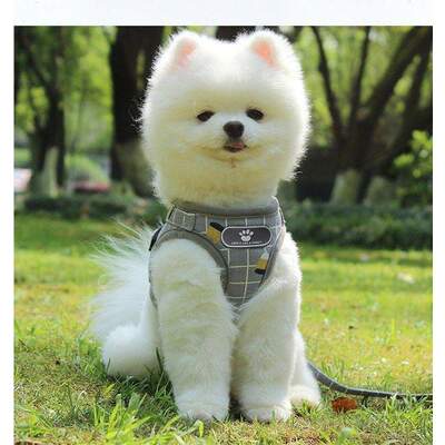 Puppy Chest Strap L YELLOW