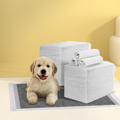 200Pcs Super Absorbent Grey Pet Training Pads 60X60Cm