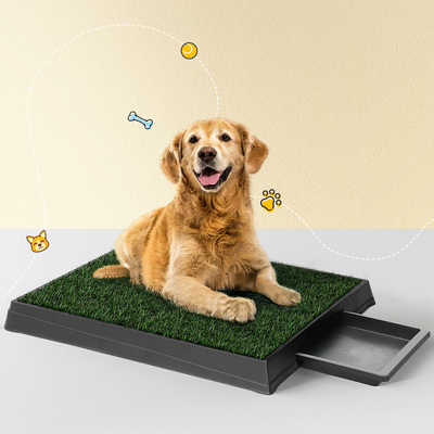 Portable Dog Potty Tray Large Toilet Training Pad and 2 Grass Mats