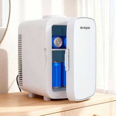 Portable Mini Fridge White 12V/220V Electric Cooler and Warmer