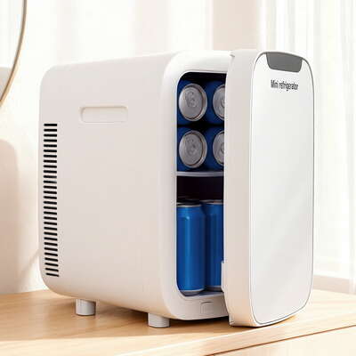 Portable Mini Fridge White Electric Cooler & Warmer for Car and Office 12V/220V