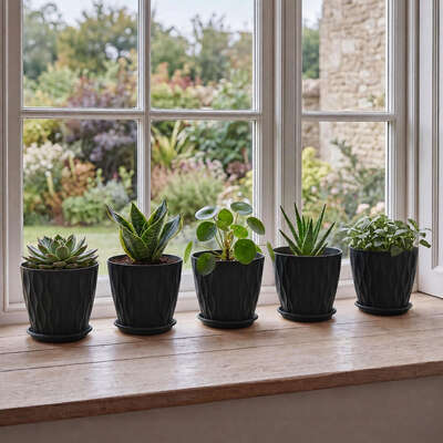 8 Inch Plastic Plant Pots Set 5 Black Saucers | EXTG