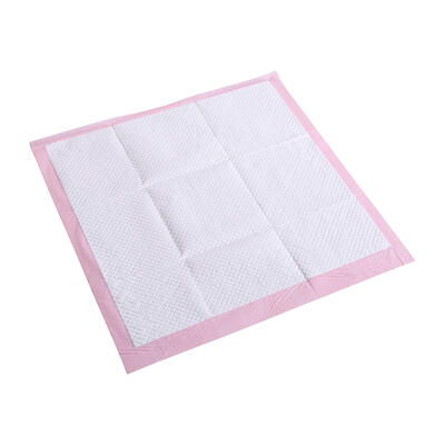 Pet Training Pads 100Pcs