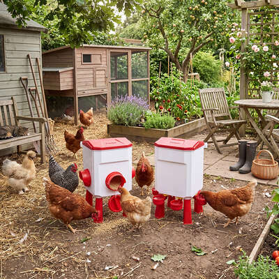Chicken Feeder Waterer Set 12kg 11L Gravity | EXTG