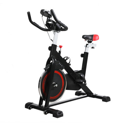 Spin Bike Fitness Exercise Bike Flywheel