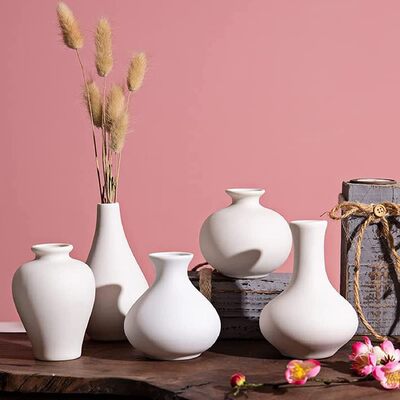 Set of 5 White Vases for Home Decor