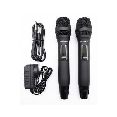 Twin Channel Professional Wireless Microphone System Dual Xlr Out
