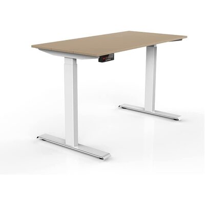 Electric Standing Desk, 100Kg Motorised Height Adjustable Computer Desk, Sit Stand Desk, Home Office (120 X 60 Cm / 47.2 X 23.6 Inch)