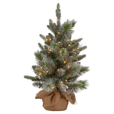 61cm Pre-Lit Snowy Stamford Spruce Battery-Operated Mini Christmas Tree Multi-Functional